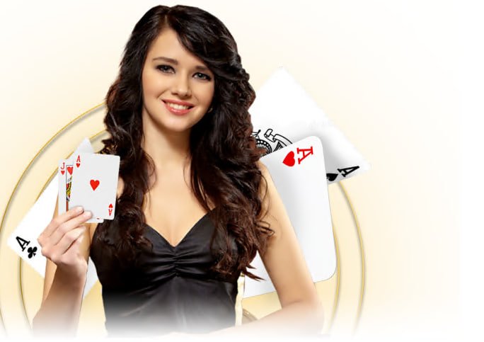 crickex app login bd